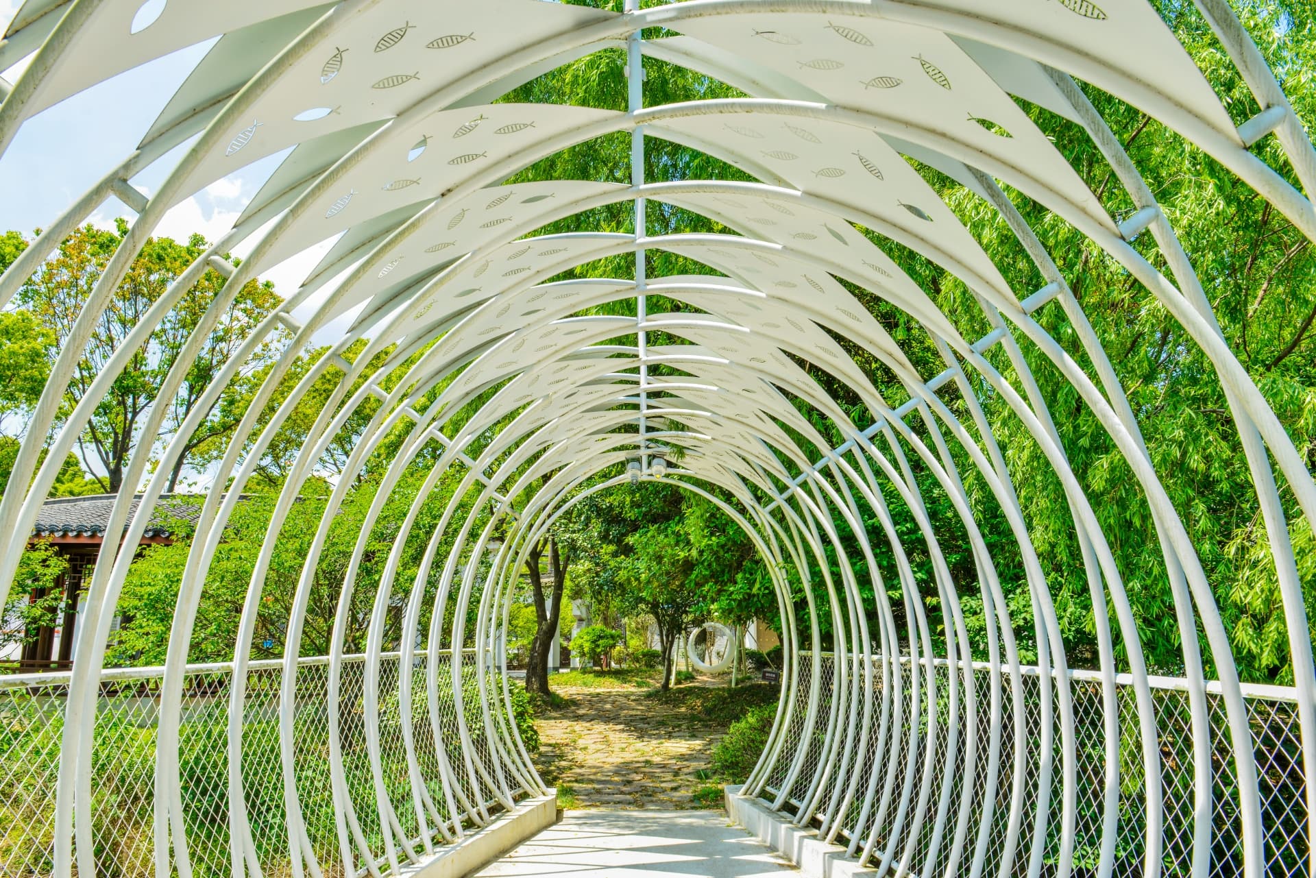 FISHBONE CORRIDOR